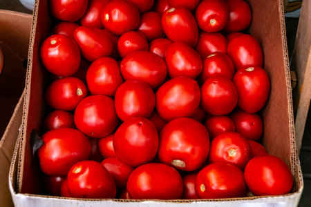 Lots of red tomatoes in a cardboard box. Sale of tomatoes at the farmers' market. Red ripe tomatoes. close-up.の写真素材
