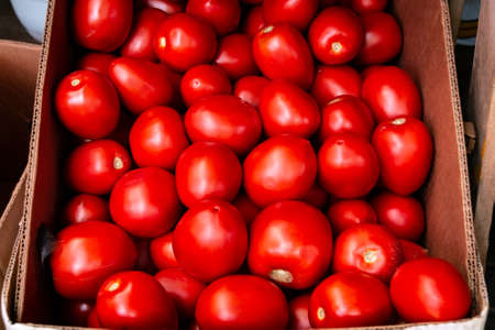 Lots of red tomatoes in a cardboard box. Sale of tomatoes at the farmers' market. Red ripe tomatoes. close-up.の写真素材