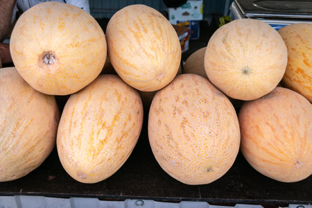Ripe and juicy melons lie on the counter in the market. Sale of ripe and fresh vegetables and fruits at the farmers' market. close-up.の写真素材