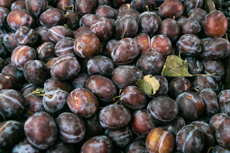 Background of ripe fresh plums. close-up. Sale of plums at the farmers' market.の写真素材