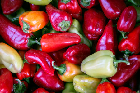 Capsicum or vegetable peppers. There is a lot of pepper in the rural market.の写真素材