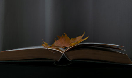 A yellow dry maple leaf on the pages of an open magic book. autumn still life. soft tone. close-up. Blurred background.の写真素材