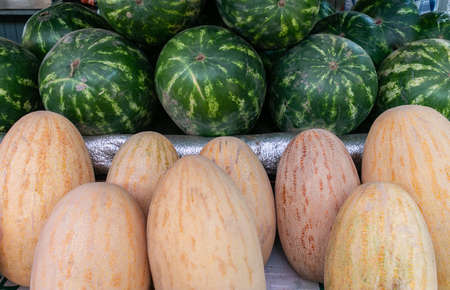 Watermelons and melons lie on the counter in the market. Sale of ripe and fresh vegetables and fruits at the farmers' market. close-up.の写真素材