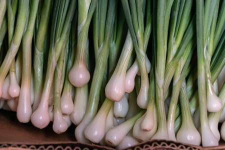 Lots of fresh green onions in a cardboard box. Sale of green onions.の写真素材