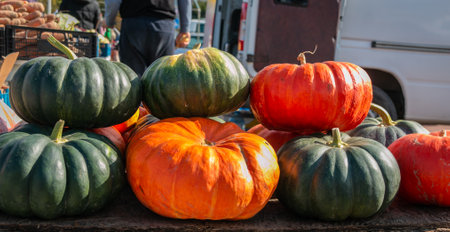 Pumpkins lie on the counter of the agricultural market. Pumpkin ordinary. Green and orange pumpkins. Sale of vegetables in the market. close-up.の写真素材