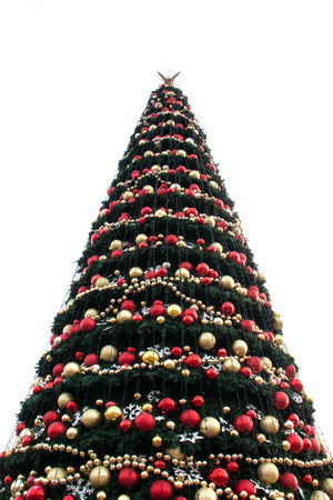 Christmas tree on a white background. New Year's festive tree. Christmas balls and decorations on the tree.の写真素材