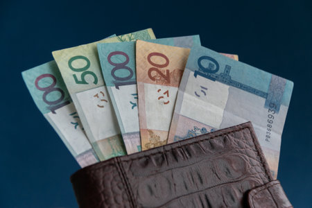 Belarusian money in a brown leather wallet on a blue background. Banknotes of the Republic of Belarus. Belarusian currency. close-up.の写真素材