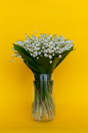A bouquet of fresh lilies of the valley in a glass beaker on a yellow background.の写真素材
