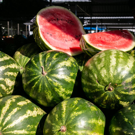 Lots of ripe watermelons. Selling watermelons at the grocery market.の写真素材