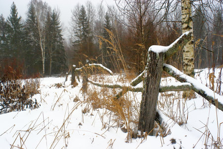 Old rickety fenceの写真素材