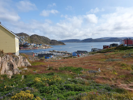 View of the harbor and fjord of Qaqortog, Iceland, in the foreground an old cemetery