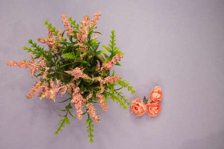 pink flowers on violet backgroundの写真素材