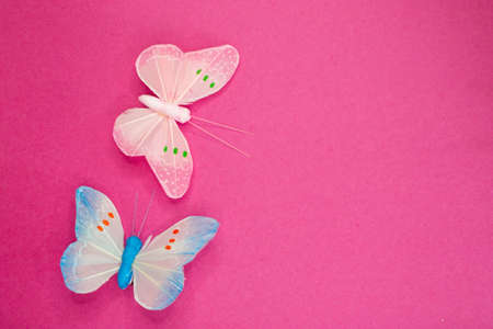 butterflies on pink backgroundの写真素材