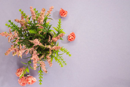 pink flowers on violet backgroundの写真素材