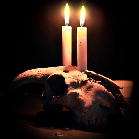 Candles on a Skull of Goatの写真素材