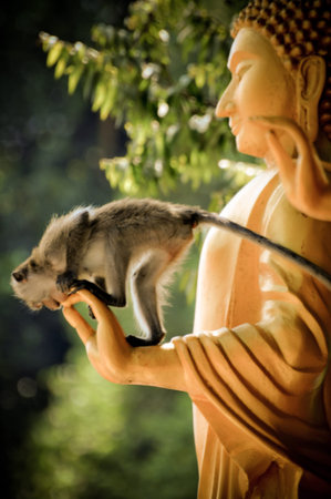 Macaque Climbing a Buddha in Krabi, Thailand
