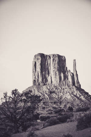 West Mitten Butte in Monument Valleyの写真素材