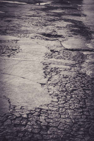 Green Mossy Rocks on a Beach of Bayonneの写真素材