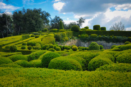 Sculptured Trees and Bushes in the Garden of Marqueyssacの写真素材