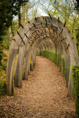 Strange Tunnel in the Garden of Marqueyssacの写真素材