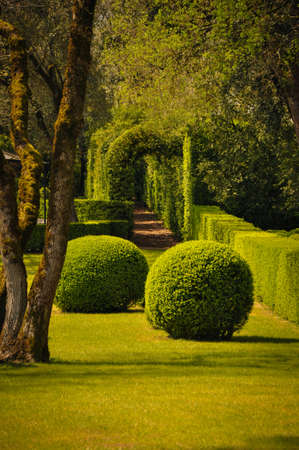 Sculptured Trees and Bushes in the Garden of Marqueyssacの写真素材