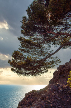 Magnificent Sunset in Mugel Parkの写真素材