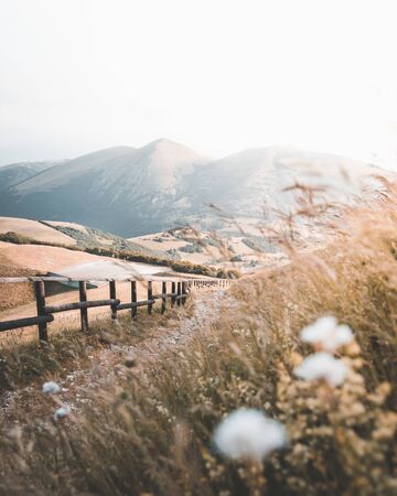 Mountain road with flowers and a wooden fenceの写真素材