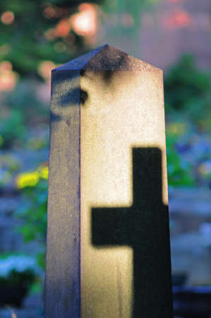 Graveyard impression Part of a graveyard with modern tombstone の写真素材