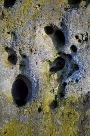 River stone Detail of a river stone with small and big holes