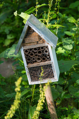 Insect Hotelの写真素材