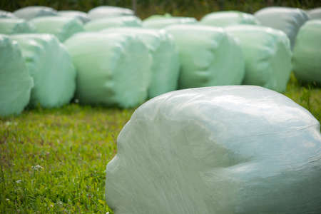 hay bales wrapped in plastic foilの写真素材