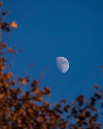 The bright side of the moon in the dark blue sky.の写真素材
