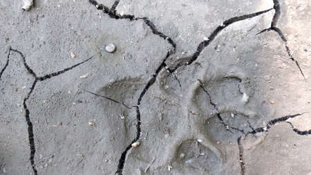 Soil that has not seen rain for a long timeの写真素材