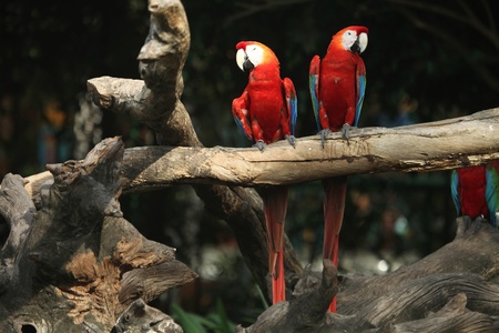 We fight but being together always..の写真素材