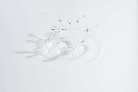 white pureの写真素材