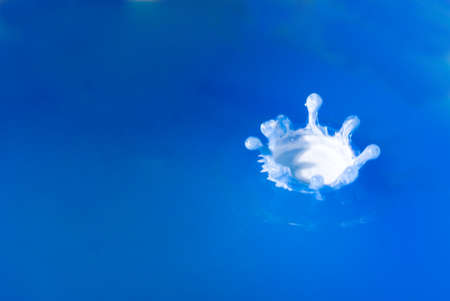 white milk water splashingの写真素材