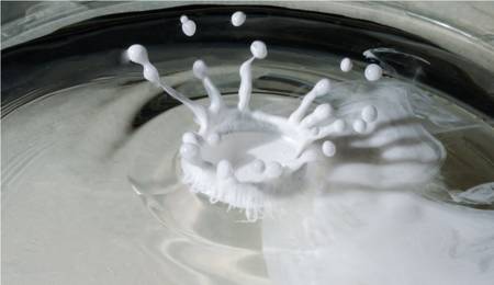 white splashの写真素材