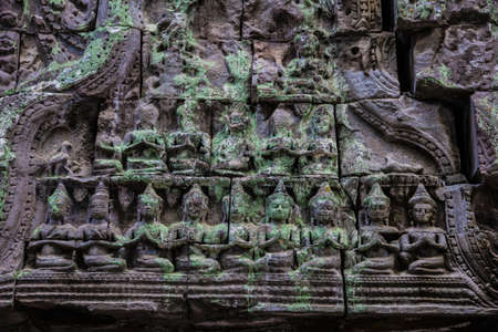 Wat Ta Prohm  Giant tree covering the stones of the fascinating temple of Ta Prohm in Angkor Wat, Siem Reap, Cambodia の写真素材