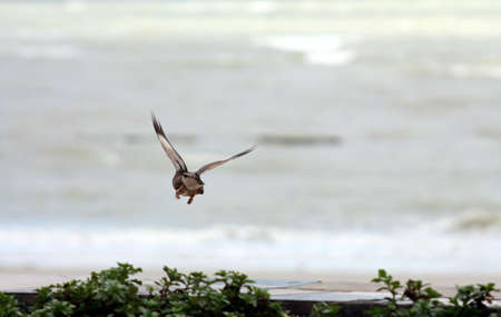 The Beachの写真素材