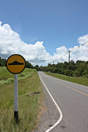 way to the natureの写真素材