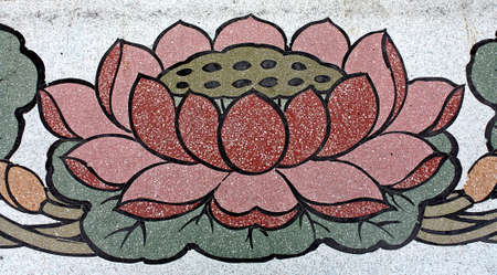 Lotusの写真素材