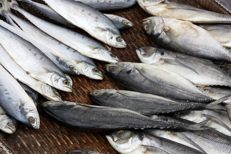 dried fish