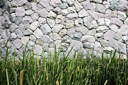 Gravel and grass on a wall の写真素材