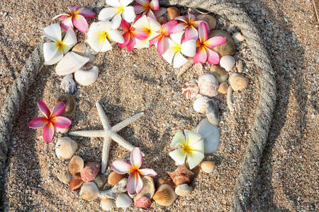 starfish and leelawadee flower with shell on sandの写真素材