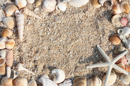 star fish and shell on the sandの写真素材