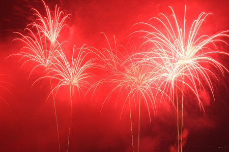 colorful firework with the night sky