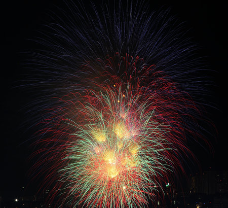 colorful firework with the night sky