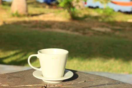 cofffee cup in the gardenの写真素材