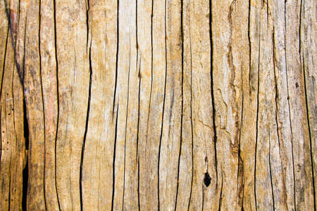 woodの写真素材