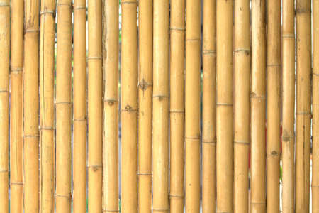 bamboo wallの写真素材